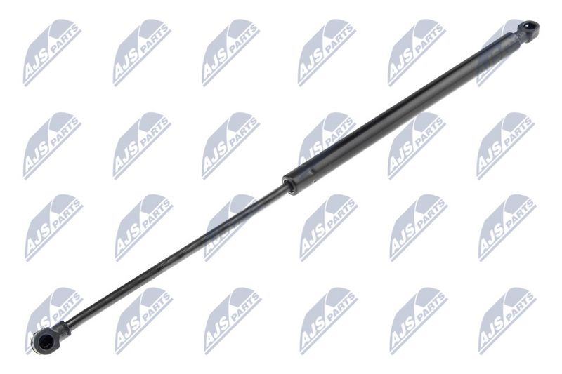 NTY AE-NS-015 Gas Spring, boot/cargo area