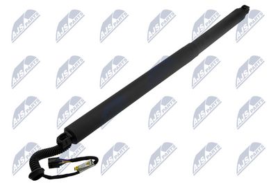 Electric Motor, tailgate NTY AE-NS-027