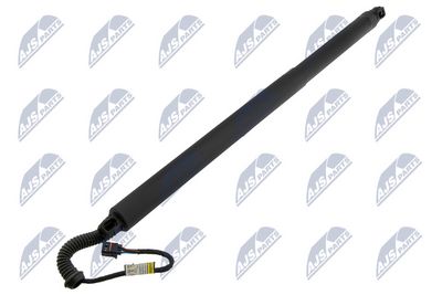 Electric Motor, tailgate NTY AE-NS-028