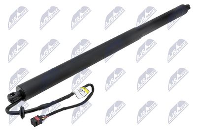 Electric Motor, tailgate NTY AE-NS-032