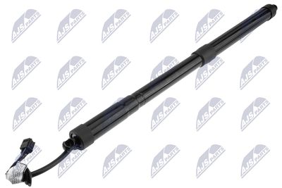 Electric Motor, tailgate NTY AE-NS-033