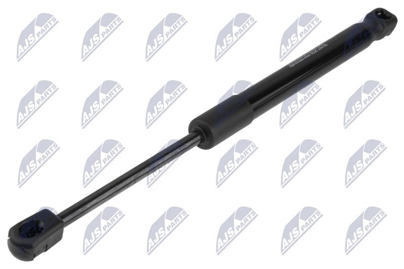 NTY AE-NS-036 Gas Spring, bonnet