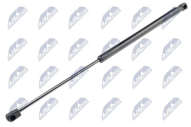 NTY AE-PE-000 Gas Spring, boot/cargo area