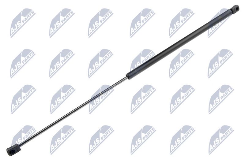 NTY AE-PL-030 Gas Spring, bonnet