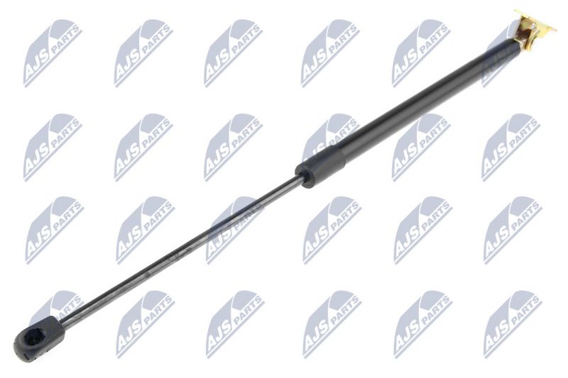 NTY AE-PL-061 Gas Spring, bonnet