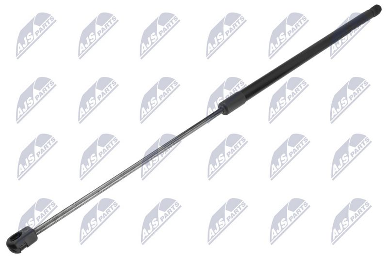 NTY AE-PL-075 Gas Spring, bonnet