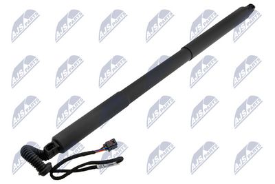 Electric Motor, tailgate NTY AE-PS-005