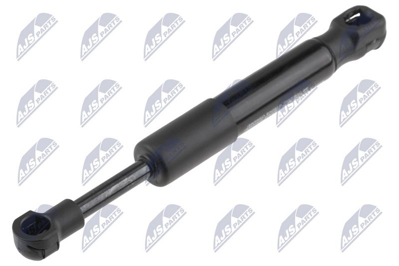 NTY AE-PS-010 Gas Spring, bonnet