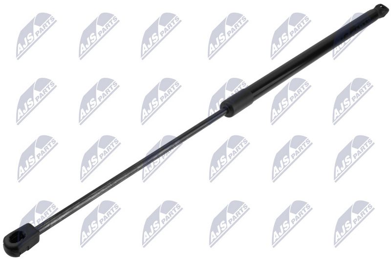 NTY AE-PS-011 Gas Spring, bonnet
