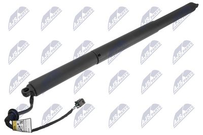 Electric Motor, tailgate NTY AE-PS-012