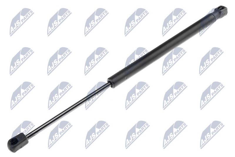 NTY AE-RE-001 Gas Spring, boot/cargo area
