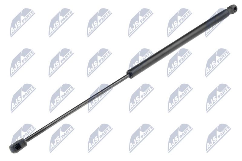 NTY AE-RE-008 Gas Spring, boot/cargo area
