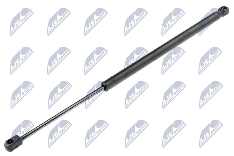 NTY AE-RE-009 Gas Spring, boot/cargo area