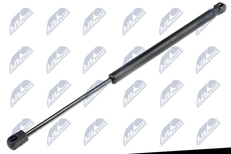 NTY AE-RE-010 Gas Spring, boot/cargo area
