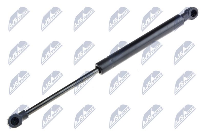NTY AE-RE-051 Gas Spring, boot/cargo area