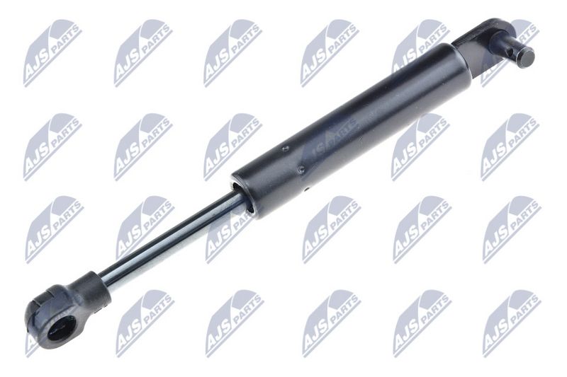 NTY AE-RE-052 Gas Spring, boot/cargo area