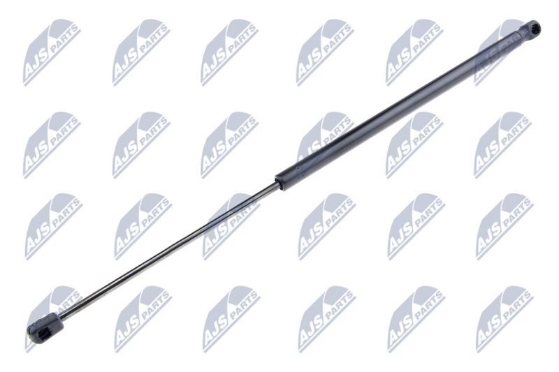 NTY AE-RV-000 Gas Spring, boot/cargo area