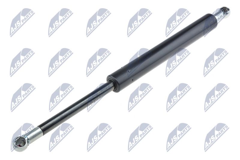 NTY AE-SA-001 Gas Spring, boot/cargo area