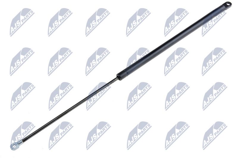 NTY AE-SA-008 Gas Spring, bonnet