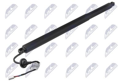Electric Motor, tailgate NTY AE-SB-005