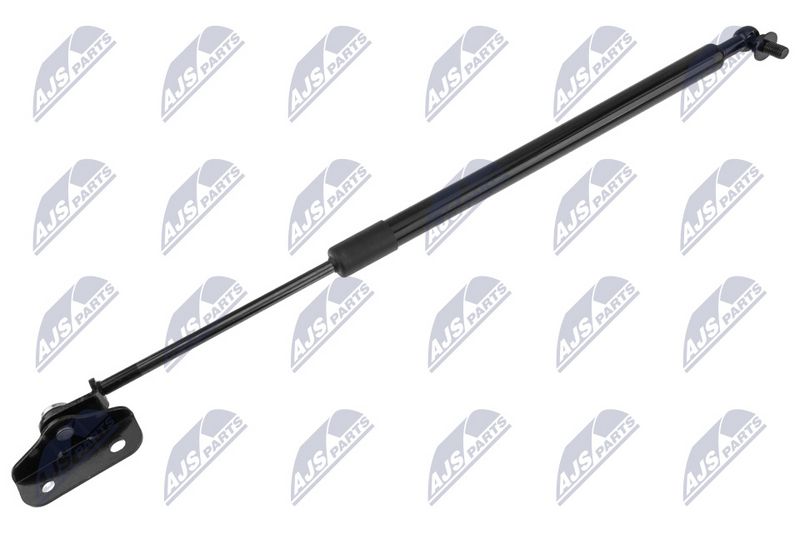 NTY AE-SB-007 Gas Spring, bonnet