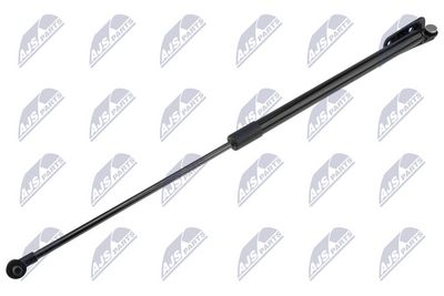 Gas Spring, boot/cargo area NTY AE-SB-008