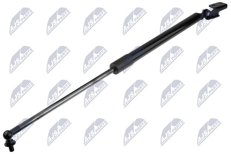 NTY AE-SB-012 Gas Spring, boot/cargo area