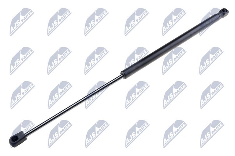 NTY AE-SE-001 Gas Spring, boot/cargo area