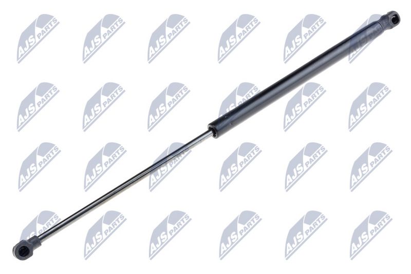 NTY AE-SE-004 Gas Spring, boot/cargo area