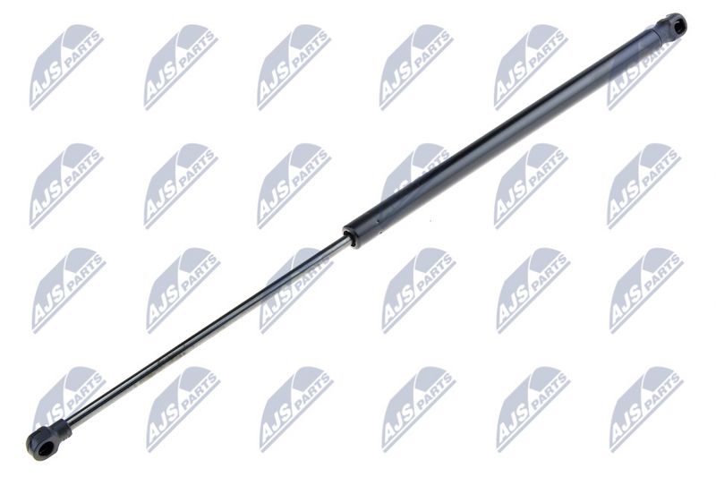 NTY AE-SE-008 Gas Spring, boot/cargo area
