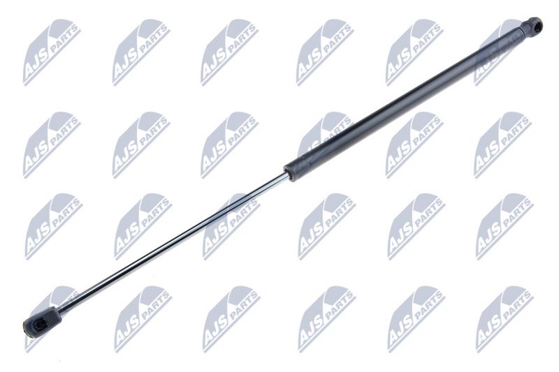 NTY AE-SE-011 Gas Spring, boot/cargo area