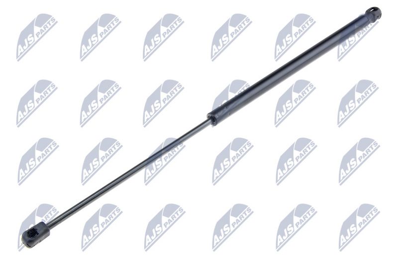NTY AE-SE-012 Gas Spring, bonnet