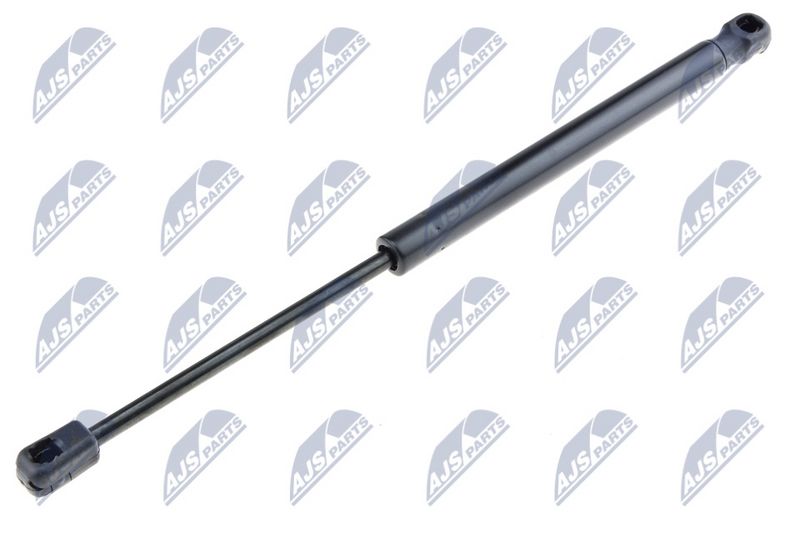 NTY AE-SE-014 Gas Spring, boot/cargo area