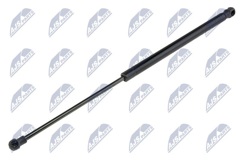 NTY AE-SE-019 Gas Spring, boot/cargo area