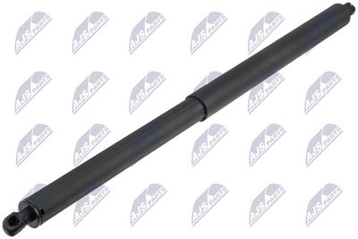 Gas Spring, boot/cargo area NTY AE-SE-031