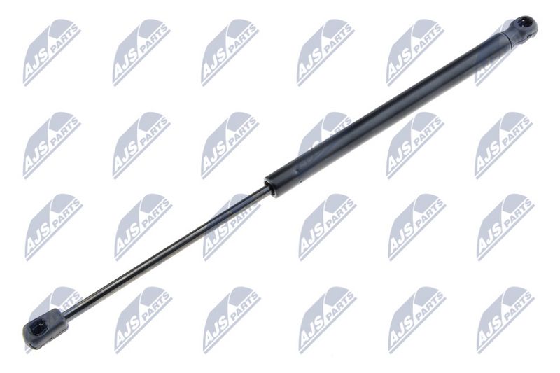 NTY AE-SK-000 Gas Spring, boot/cargo area