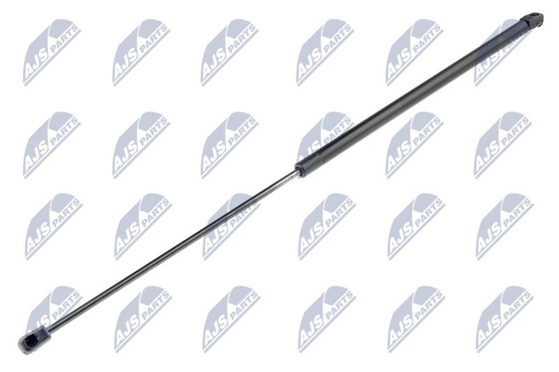 NTY AE-SK-010 Gas Spring, bonnet