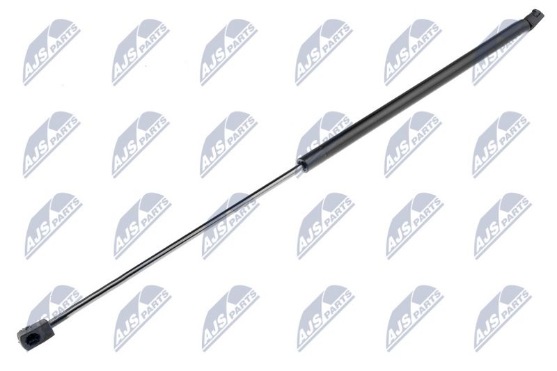 NTY AE-SK-012 Gas Spring, bonnet