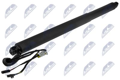 Electric Motor, tailgate NTY AE-SK-029