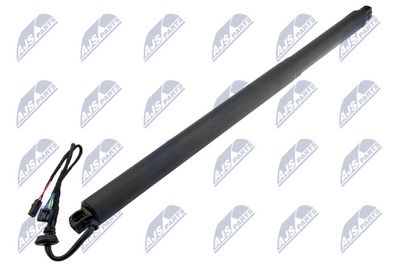 Electric Motor, tailgate NTY AE-SK-031