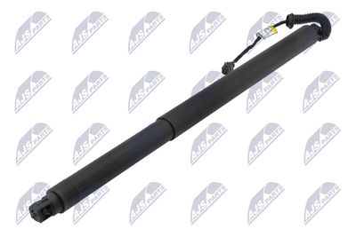 Electric Motor, tailgate NTY AE-SK-033