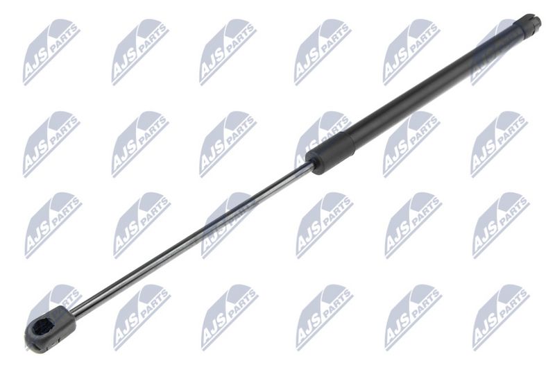 NTY AE-SU-001 Gas Spring, boot/cargo area