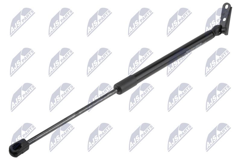 NTY AE-SU-005 Gas Spring, boot/cargo area