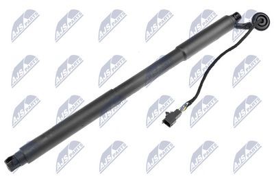 Gas Spring, boot/cargo area NTY AE-VV-001