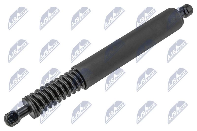 NTY AE-VW-100 Gas Spring, boot/cargo area