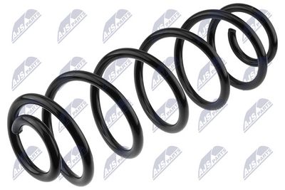 Suspension Spring NTY ASZ-AU-004