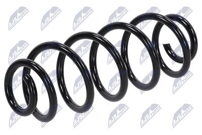 Suspension Spring NTY ASZ-AU-008