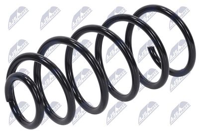 Suspension Spring NTY ASZ-AU-033