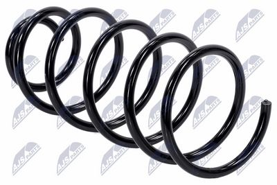 Suspension Spring NTY ASZ-AU-035