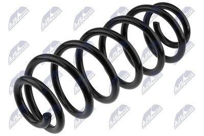 Suspension Spring NTY ASZ-AU-039